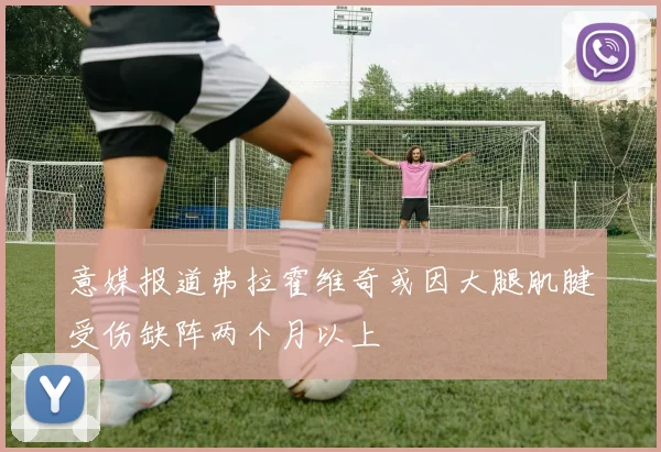 意媒报道弗拉霍维奇或因大腿肌腱受伤缺阵两个月以上